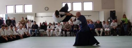 Seibukan Jujutsu Martial Art Kanchō and Adam long